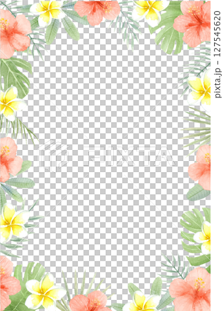 水彩芙蓉花和雞蛋花框架,夏季明信片 水彩芙蓉花和雞蛋花框架,夏季明信片 127545620