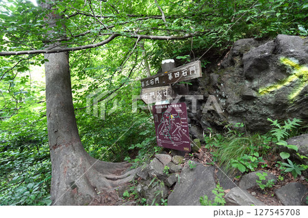妙義山　石門めぐり　群馬県 127545708
