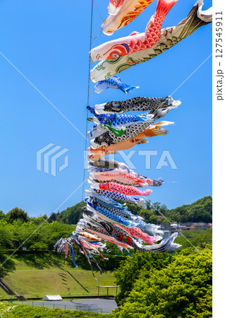 《若宮公園》青空を泳ぐ鯉のぼり（神奈川県厚木市） 127545911