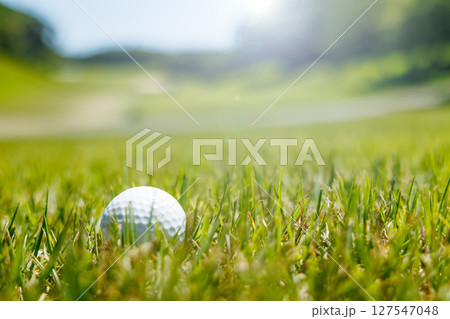 新緑の芝がきれいなゴルフ場 127547048