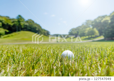 新緑の芝がきれいなゴルフ場 新緑の芝がきれいなゴルフ場 127547049
