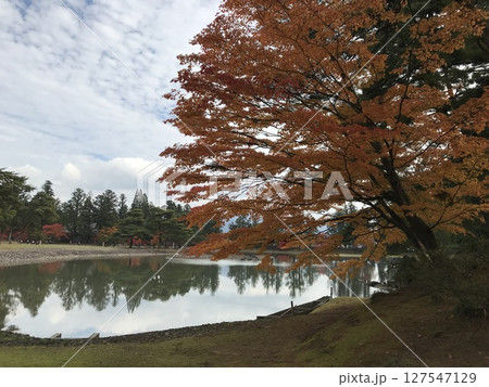 水面 コピーライト 秋 水面 コピーライト 秋 127547129