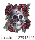 Scull with spider and roses gothic magical texture isolated on white background. Watercolor hand drawn esoterics skull illustration. Art for design mystical halloween witch decoration, scary card 127547142