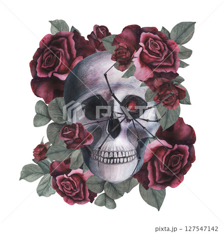 Scull with spider and roses gothic magical texture isolated on white background. Watercolor hand drawn esoterics skull illustration. Art for design mystical halloween witch decoration, scary card 127547142