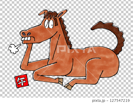 Horse lying down and resting on elbows 127547219