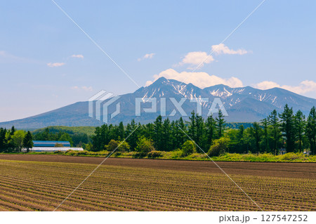 北海道清里町から見る斜里岳 127547252