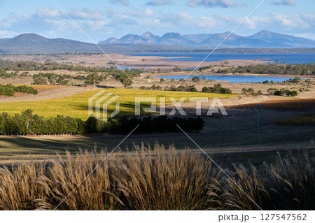 Beautiful view - Apslawn 127547562