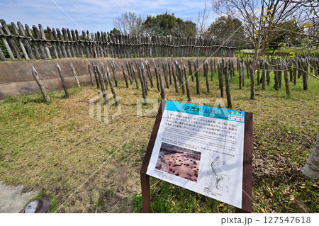 吉野ヶ里遺跡　集落の様子 127547618