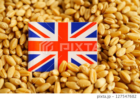 United Kingdom flag on grain wheat, trade export and economy concept. United Kingdom flag on grain wheat, trade export and economy concept. 127547682