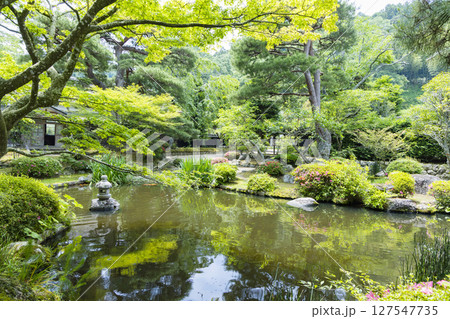 石巻市　国指定名勝齋藤氏の庭園 127547735