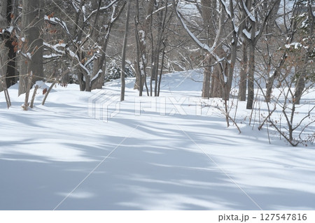 雪に覆われる公園 127547816