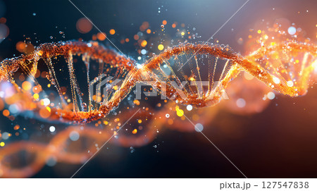 クロ－ズアップ クローズアップ 接写 127547838