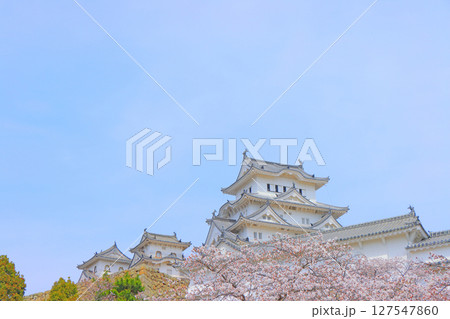 兵庫県姫路市、満開の桜と姫路城の風景 127547860