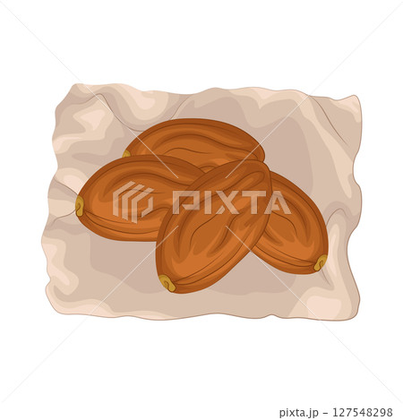 Illustration of Date Fruit 127548298