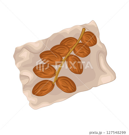 Illustration of Date Fruit 127548299