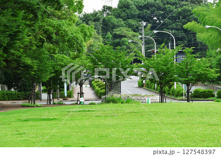 さぎ山記念公園_05 127548397