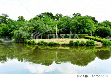 さぎ山記念公園_07 さぎ山記念公園_07 127548399