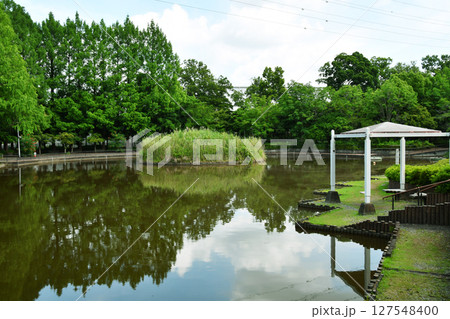 さぎ山記念公園_08 127548400