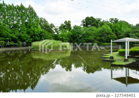 さぎ山記念公園_09 さぎ山記念公園_09 127548401