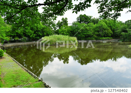さぎ山記念公園_10 127548402
