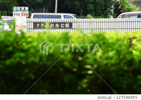 さぎ山記念公園_14 さぎ山記念公園_14 127548405