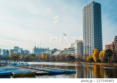 Shinobazu Pond Ueno Park Tokyo Cityscape 127548463
