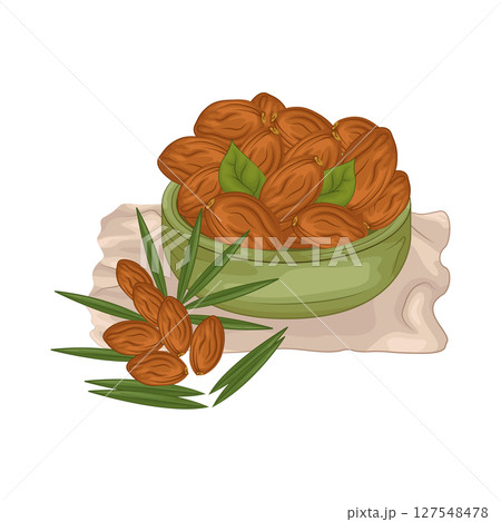 Illustration of Date fruit 127548478