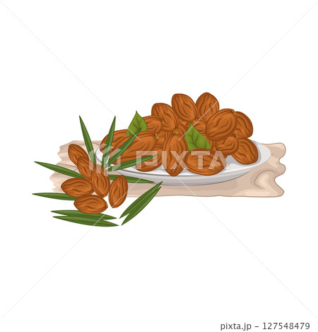 Illustration of Date fruit 127548479