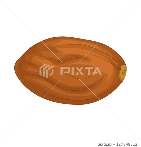 Illustration of Date fruit 127548512