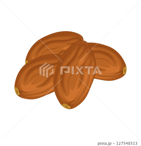 Illustration of Date fruit 127548513