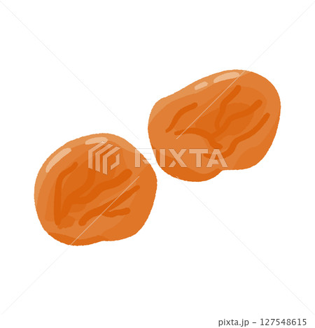 乾燥あんず 127548615