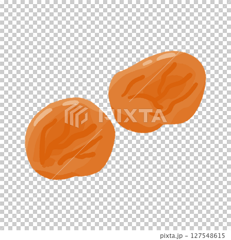 乾燥あんず 127548615