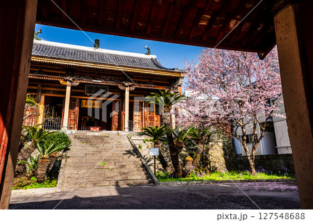 福建会館の桜【長崎市】 127548688