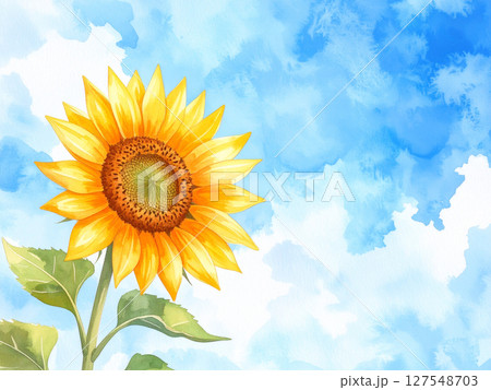 一輪の向日葵と青空 127548703