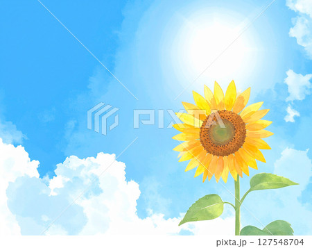 一輪の向日葵と青空 127548704