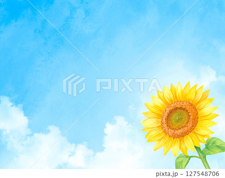 一輪の向日葵と青空 127548706