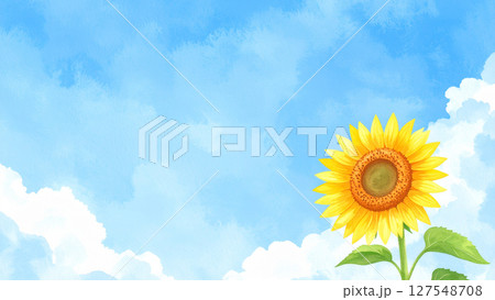 一輪の向日葵と青空 127548708