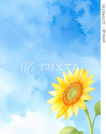 一輪の向日葵と青空 127548730