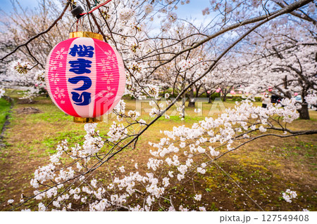森山町 桜まつり【長崎県諫早市】 森山町 桜まつり【長崎県諫早市】 127549408