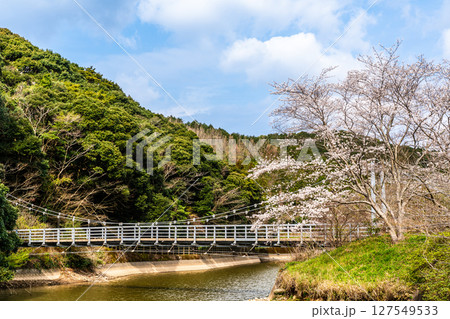 諫早十二支公園(巳)宗方公園の桜【長崎県諫早市】 諫早十二支公園(巳)宗方公園の桜【長崎県諫早市】 127549533