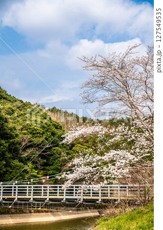 諫早十二支公園（巳）宗方公園の桜【長崎県諫早市】 127549535