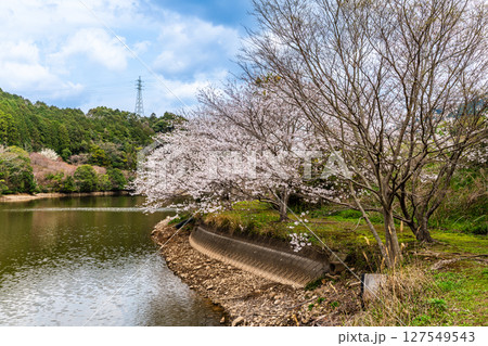 諫早十二支公園（巳）宗方公園の桜【長崎県諫早市】 127549543
