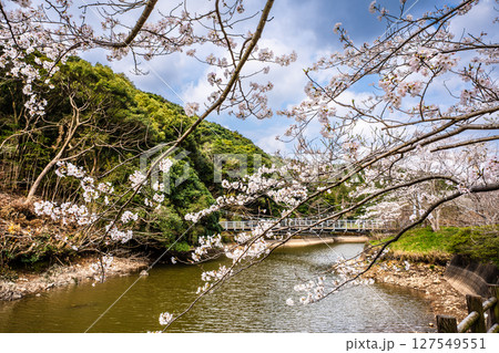 諫早十二支公園（巳）宗方公園の桜【長崎県諫早市】 127549551