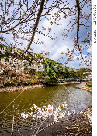 諫早十二支公園（巳）宗方公園の桜【長崎県諫早市】 127549553