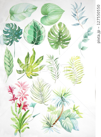 Graceful Decorative Pattern Compilation for Spaces 127550550