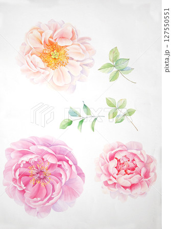 Graceful Decorative Pattern Compilation for Spaces 127550551