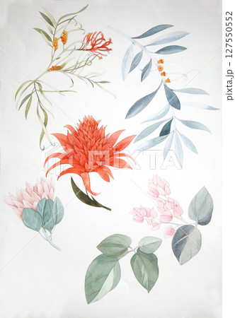 Graceful Decorative Pattern Compilation for Spaces 127550552