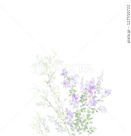 Charming Nature  Inspired Design Set for Projects 127550722