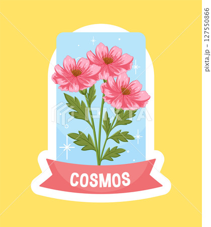 Pink Cosmos Flowers in Retro Illustration Style Pink Cosmos Flowers in Retro Illustration Style 127550866