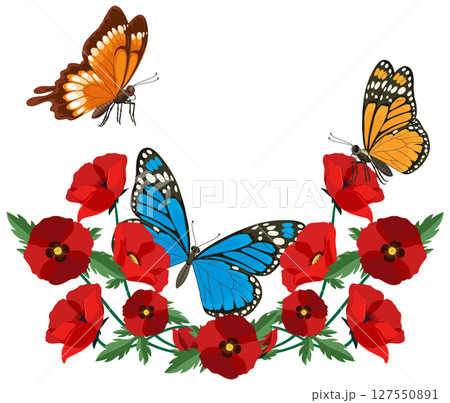 Colorful Butterflies and Red Poppies Vector Illustration 127550891